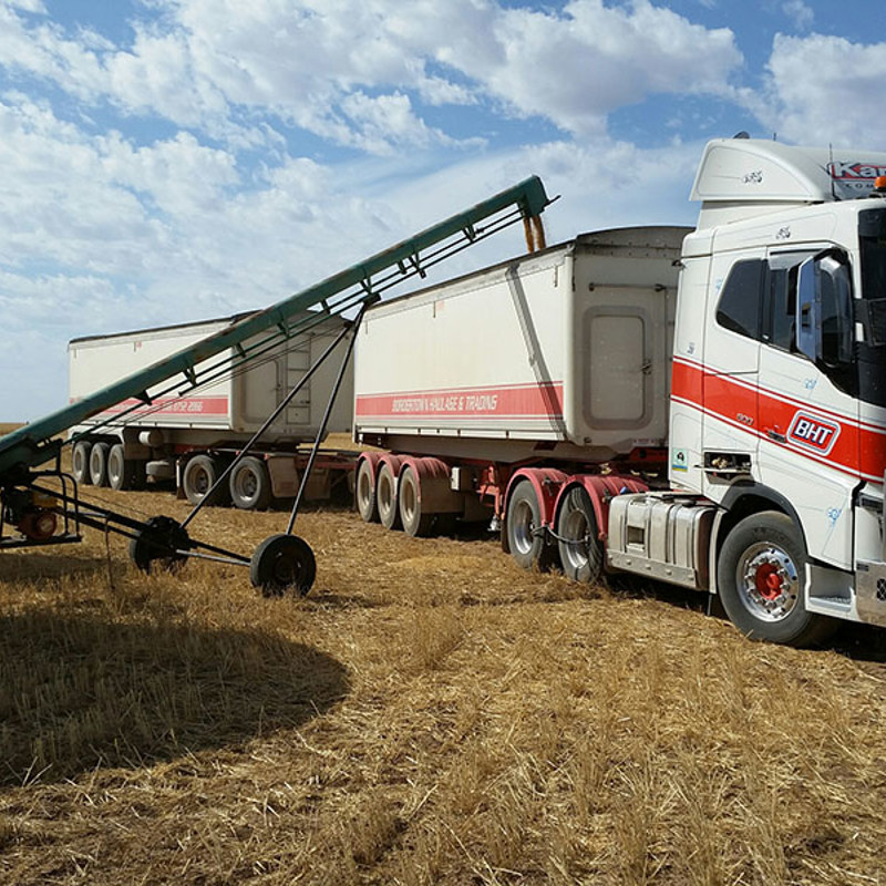 ceduna_harvest